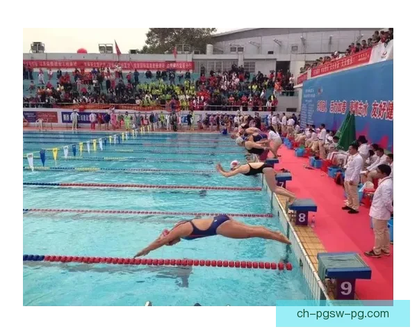 初学者跳水指南：入门技巧与注意事项